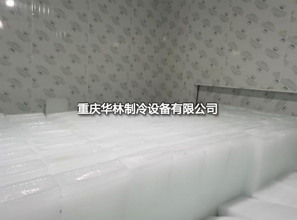 日產（chǎn）40T製冰機